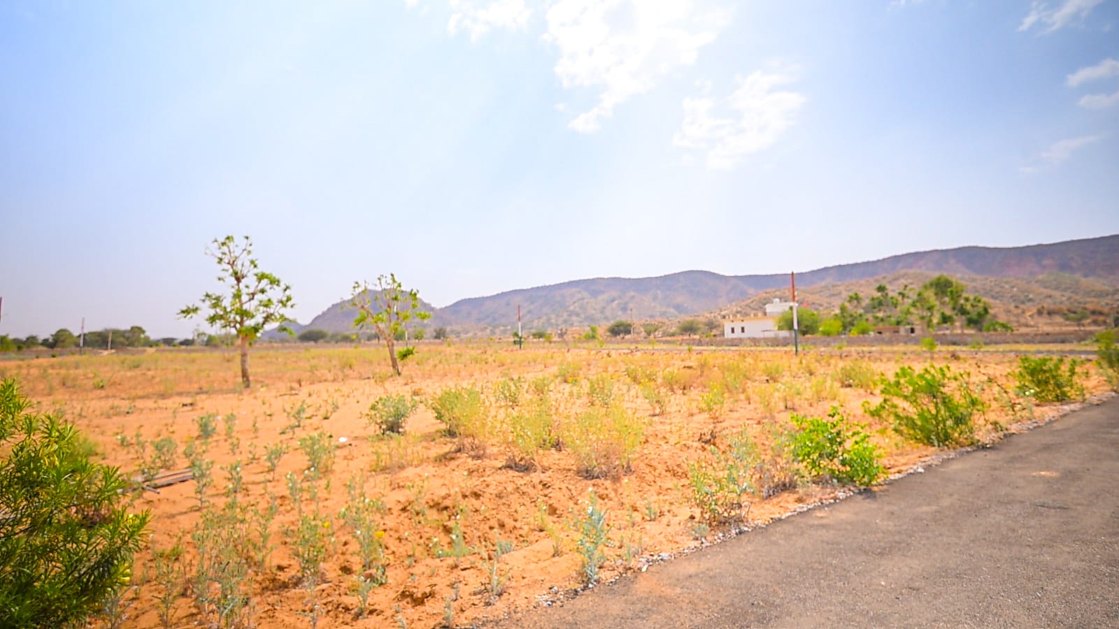 Triveni City Phase-I - Residential plot image 13 in Shahpura