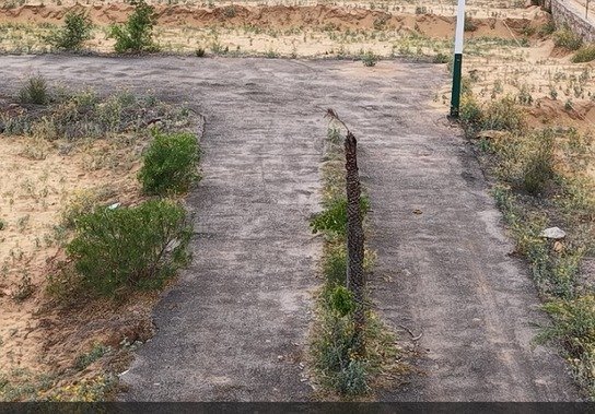 Triveni City Phase-II - Residential plot image 3 in Shahpura