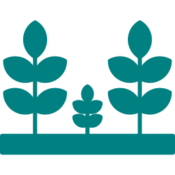 Road Side Plantation for plots in Shahpura